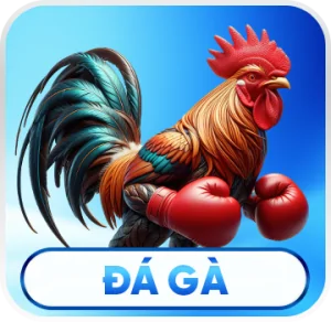 Đá gà